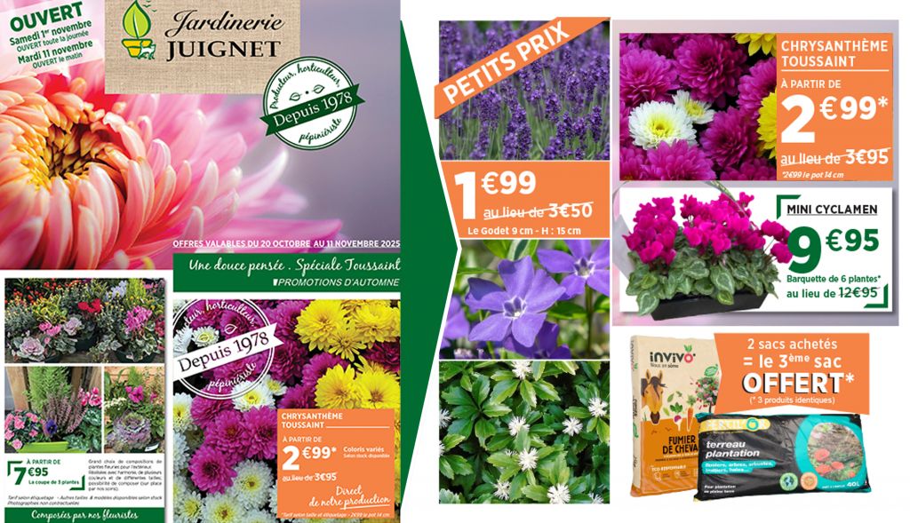 Promotions spéciales plantations d'automne & T ...