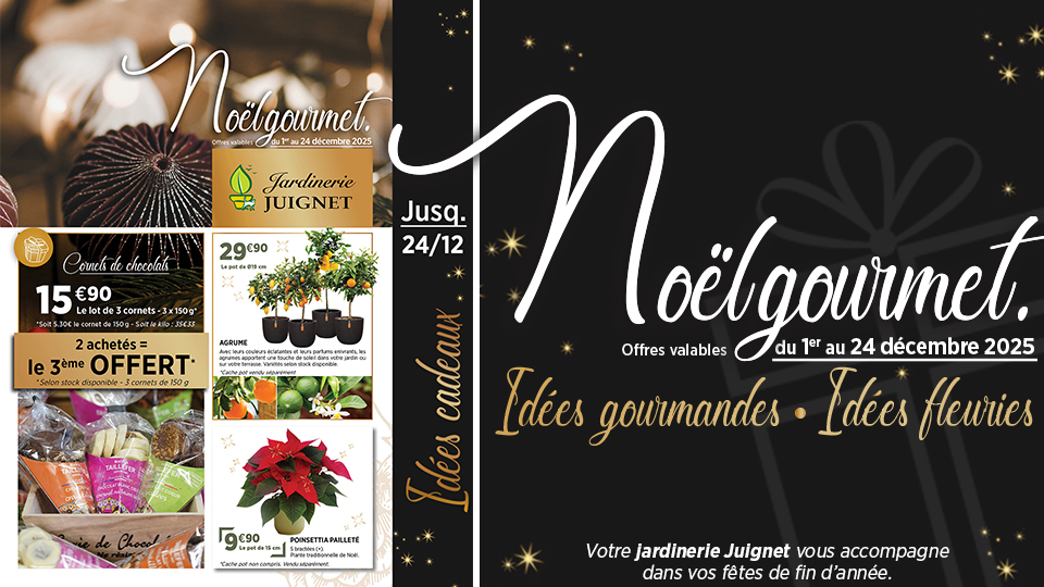 Noël s'invite dans votre jardinerie. Idées cad ...