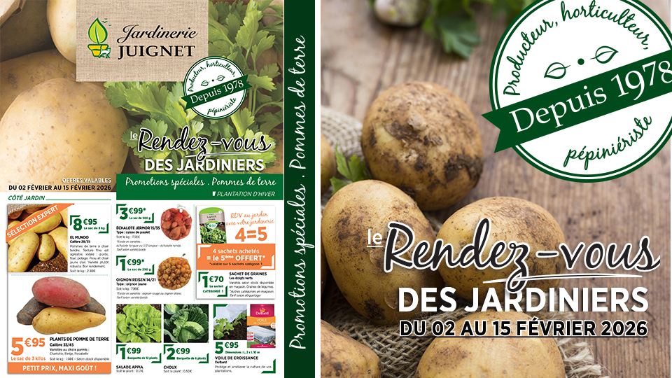 Promotions spéciales pommes de terre et planta ...