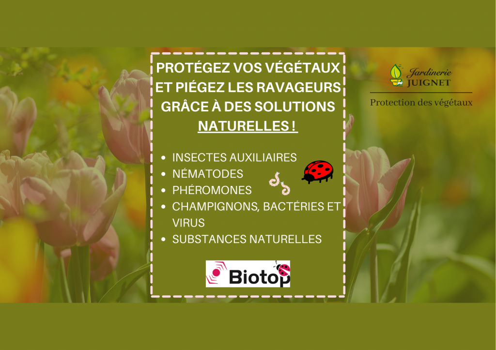 protection naturelle de vos plantes
