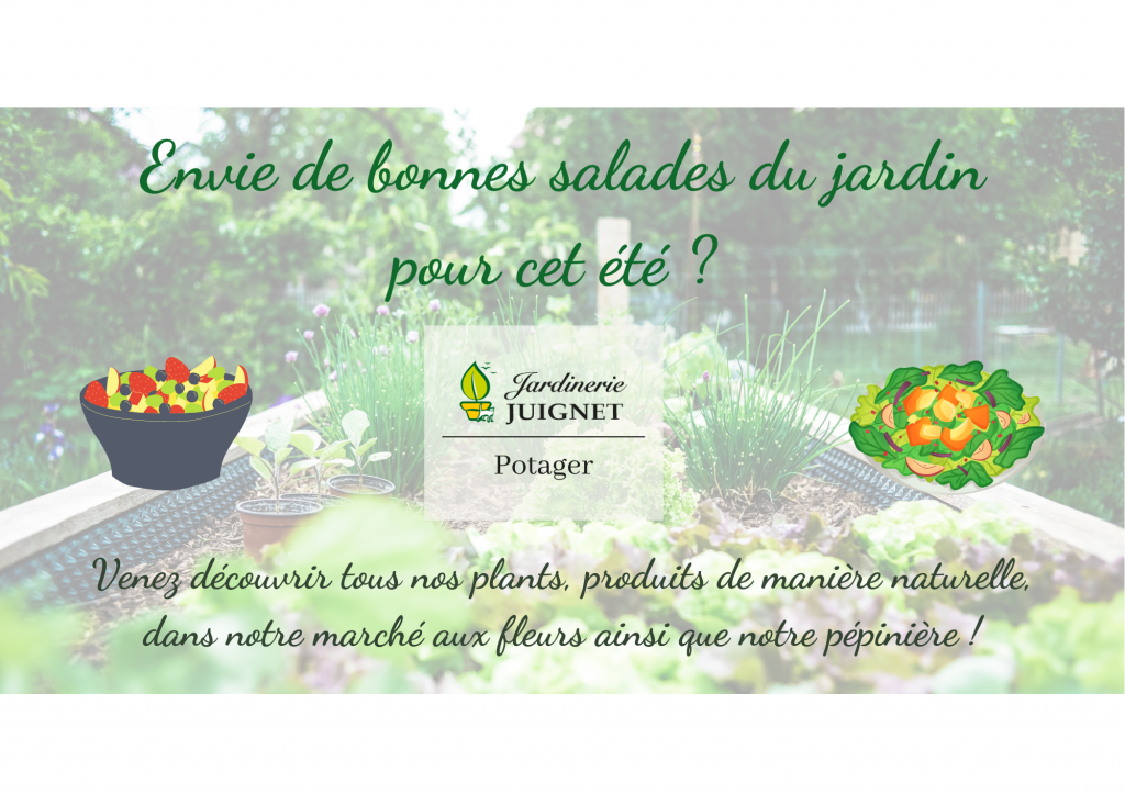Moment Potager !