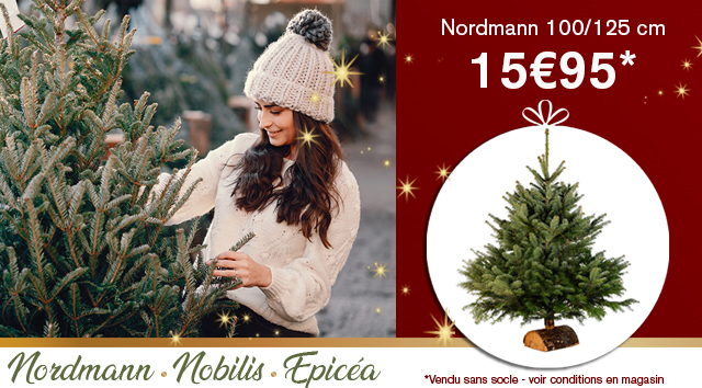 Sapin promo : Nordmann 100/125 à 15€95